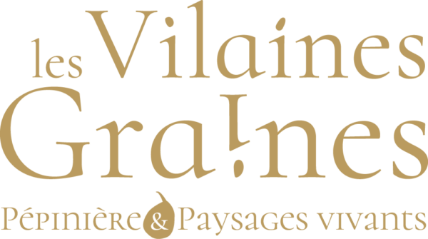 Logo d'Agathe Mériaux